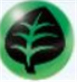 寶可夢TCGP屬性克制什么關(guān)系 寶可夢TCGP屬性克制關(guān)系圖文一覽