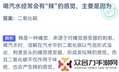 支付寶