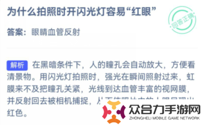 小雞莊園今天答案最新10.19,小雞莊園拍照時(shí)開閃光燈,拍照時(shí)開閃光燈容易紅眼