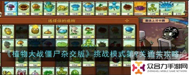 植物大戰(zhàn)僵尸雜交版挑戰(zhàn)模式第9關(guān)怎么過(guò) 挑戰(zhàn)模式第9關(guān)通關(guān)方法