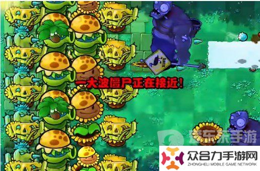 植物大戰(zhàn)僵尸雜交版挑戰(zhàn)模式第16關(guān)怎么過 第16關(guān)圖文通關(guān)流程
