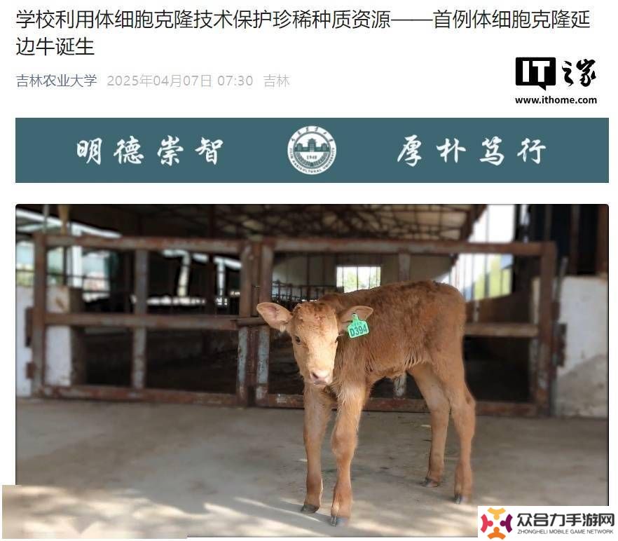 吉林農(nóng)大成功克隆延邊牛，瀕危畜種保護(hù)迎來(lái)新希望！